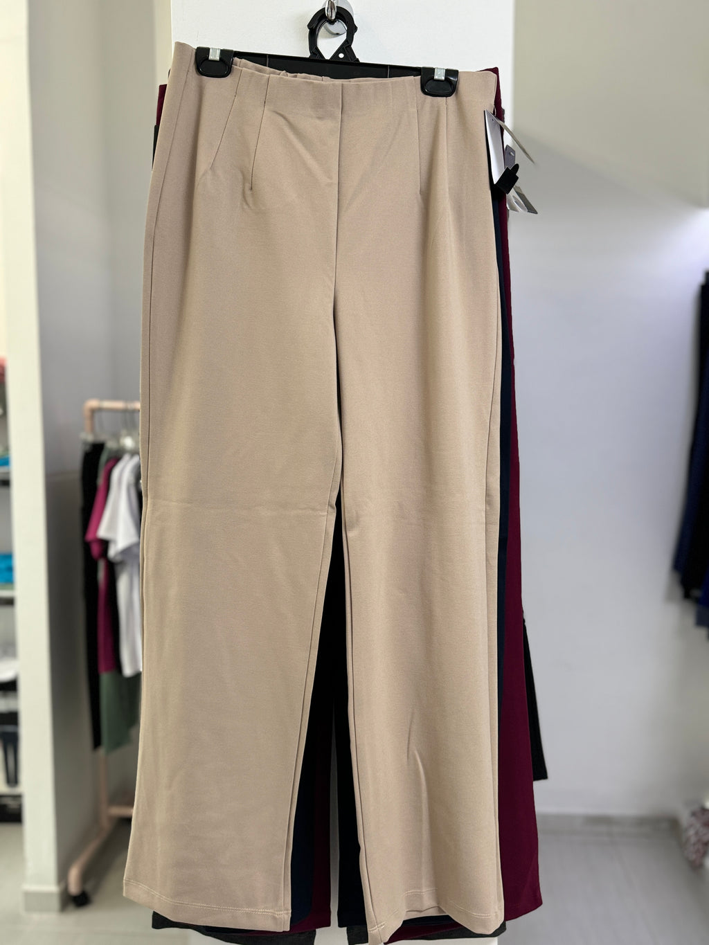 PANTALÓN BASICO MULTICOLORES  L926
